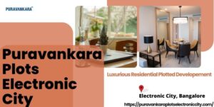 Purva Plots Electronic City - High-Value Residential Plots In Bangalore