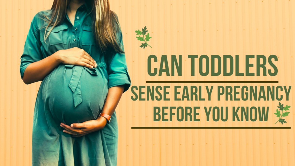 Can Toddlers Sense Early Pregnancy Before You Know