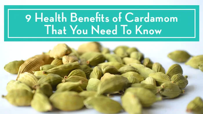 Cardamom Is Amazing For a Healthy And Fit Lifestyle