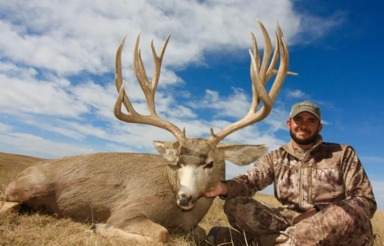 Illinois Semi Guided Deer Hunts: A Hunter’s Paradise
