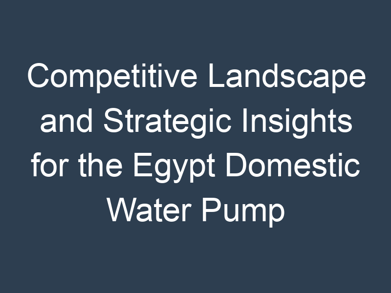 Competitive Landscape and Strategic Insights for the Egypt Domestic Water Pump Market Forecast 2023-28