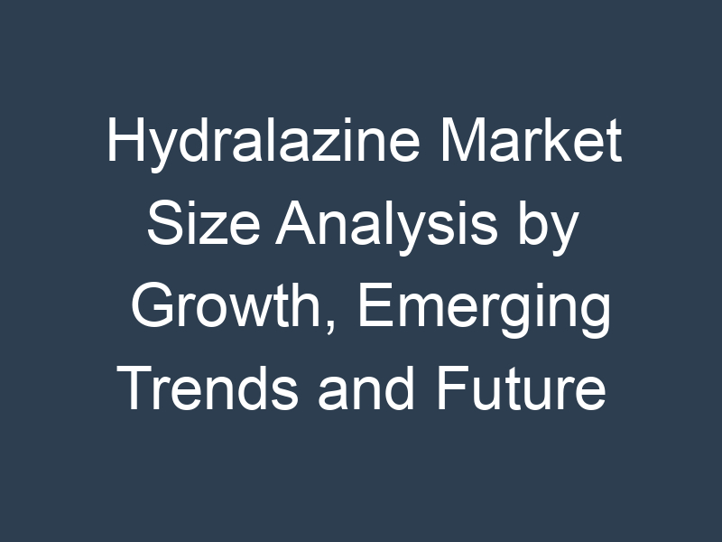 Hydralazine Market Size Analysis by Growth, Emerging Trends and Future Opportunities 2032