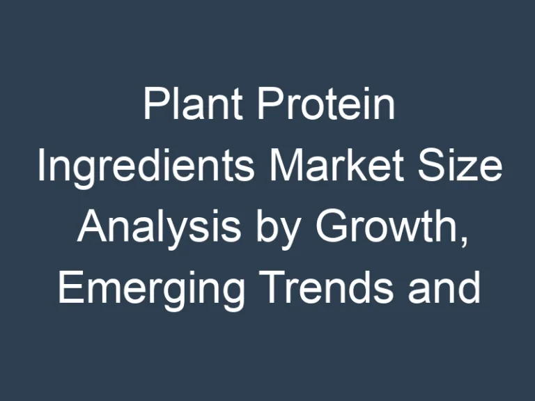 Plant Protein Ingredients Market Size Analysis by Growth, Emerging Trends and Future Opportunities 2030