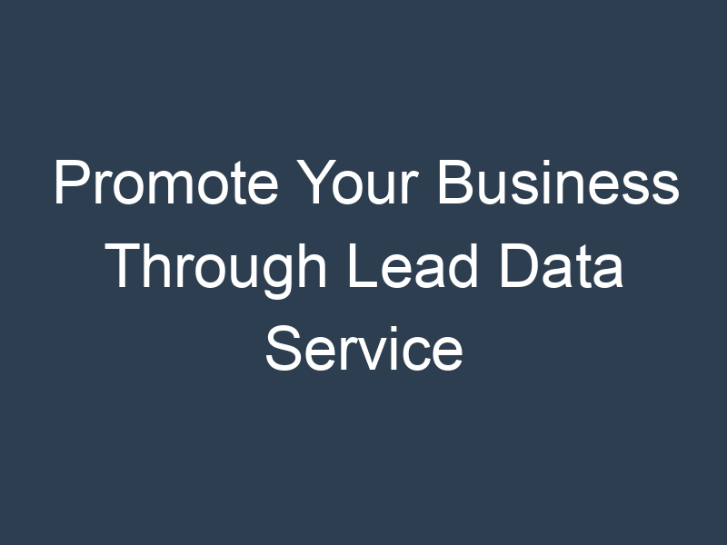 Promote Your Business Through Lead Data Service