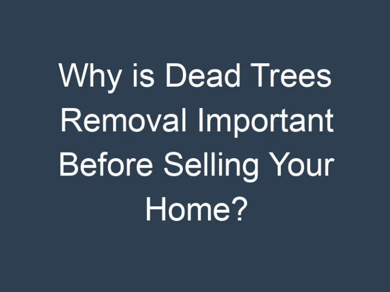 Why is Dead Trees Removal Important Before Selling Your Home?