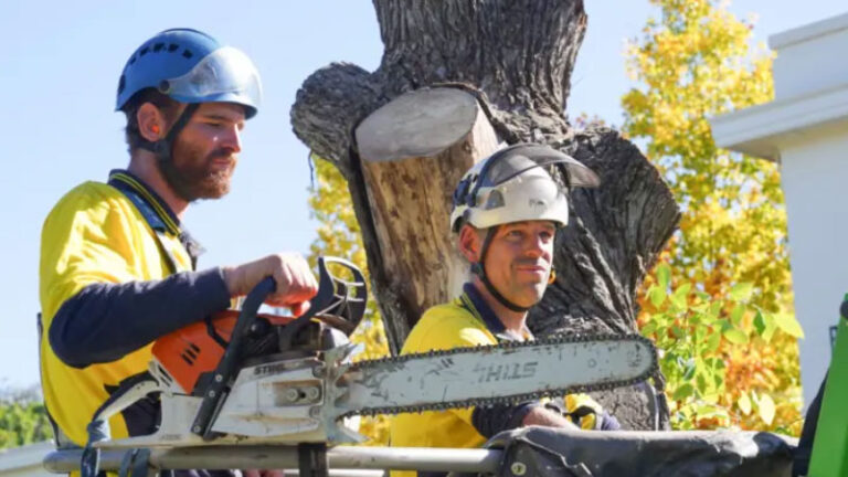 Tree Removal in Canberra Made Easy with Obriens Trees.
