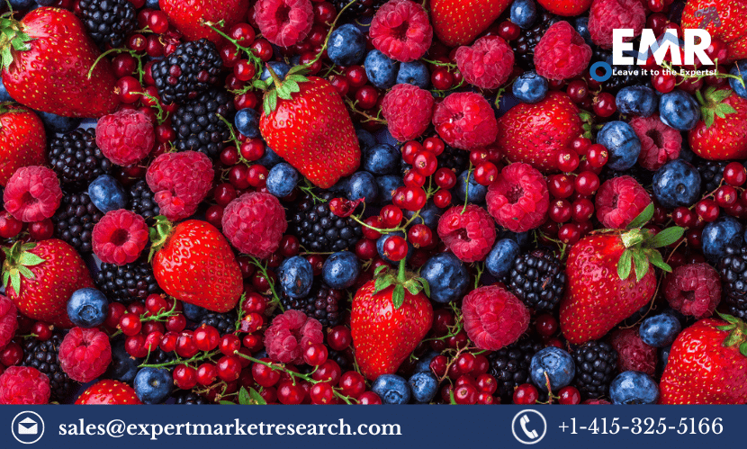 Fresh Berries Market