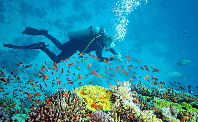 Scuba Diving in Andaman – Things to Remember