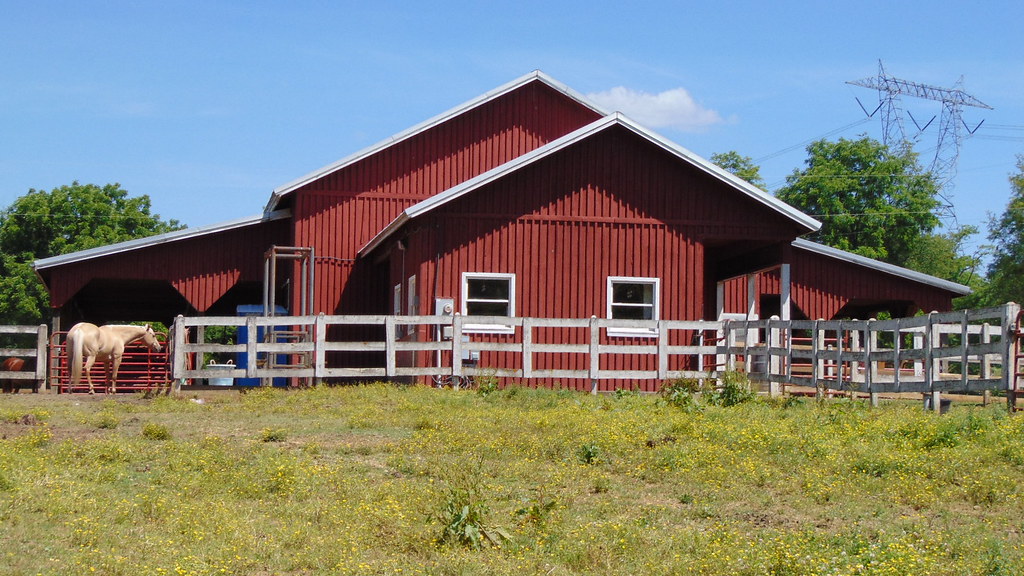 Metal Horse Barns and Riding Arenas Provide Numerous Advantages