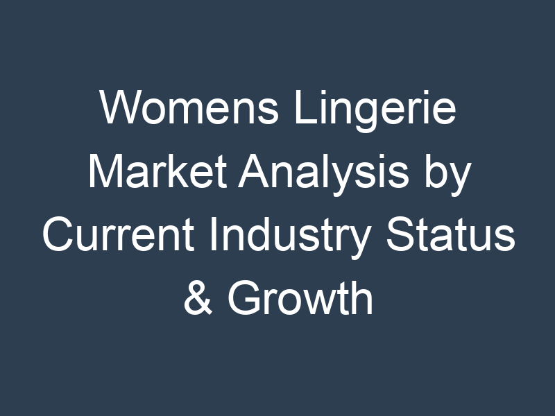 Womens Lingerie Market Analysis by Current Industry Status & Growth Opportunities, Top Key Players, Target Audience and Forecast to 2028