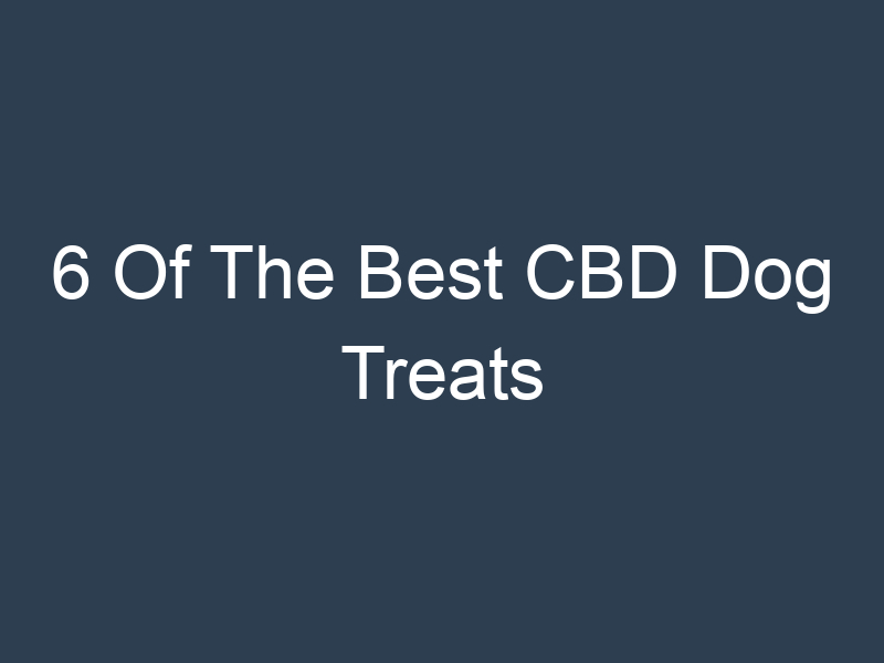 6 Of The Best CBD Dog Treats