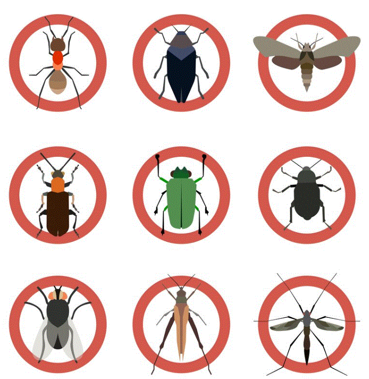 Eco-Friendly Pest Control Methods in Dubai: Protecting Your Home and the Environment