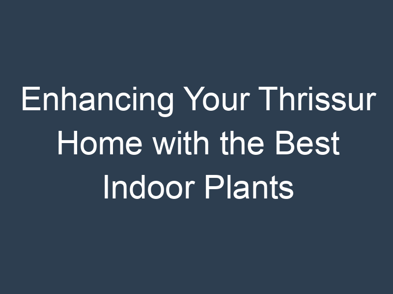 Enhancing Your Thrissur Home with the Best Indoor Plants