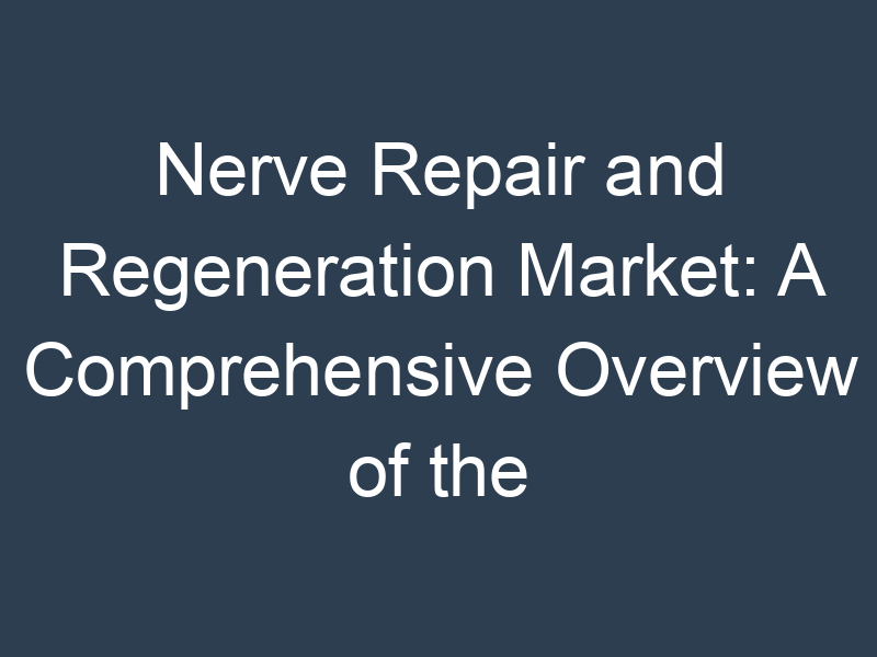 Nerve Repair and Regeneration Market: A Comprehensive Overview of the Industry's Key Players and Trends