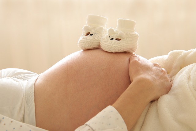 Prenatal Care – The Germinal Stages of Pregnancy